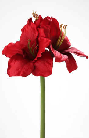 Plante artificiale si uscate - Floare AMARYLLIS, fibre sintetice, 50 cm