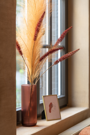 Plante artificiale si uscate - Floare artificiala Pampas 160 cm