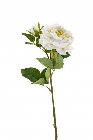 Plante artificiale si uscate - Floare artificiala Cecile, Fibre artificiale, Crem/Verde