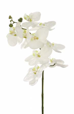 Plante artificiale si uscate - Floare artificiala orhidee, Fibre artificiale, Alb, 72 cm