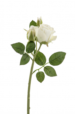 Plante artificiale si uscate - Floare artificiala Rose, Fibre artificiale, Crem, 40 cm