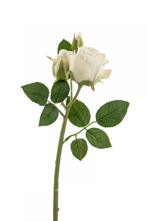 Plante artificiale si uscate - Floare, trandafir, Lilly, Sintetic, crem, PU 24, H. 40 cm