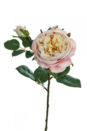 Plante artificiale si uscate - Floare, trandafir, Sintetic, portocaliu, trandafir, PU 16, H. 56 cm