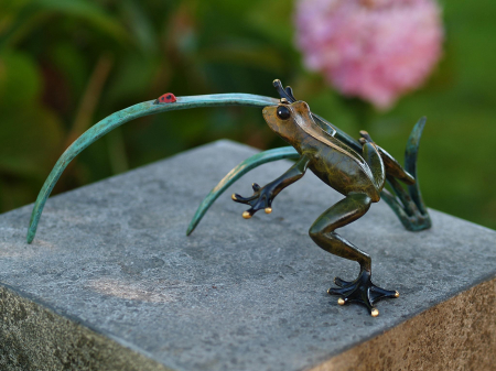 Figurine bronz - Frog cm