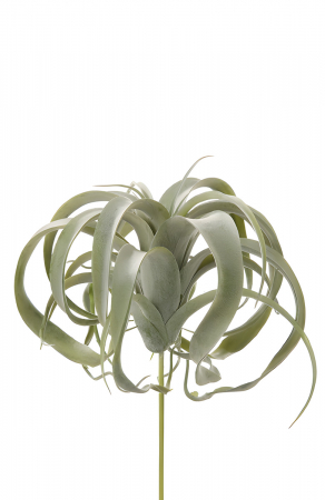 Plante artificiale si uscate - Frunze, Tillandsia, Sintetic, verde, PU 6, H. 26 cm