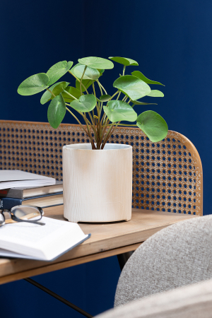 Ghivece si suporturi de flori - Ghiveci, Ceramica, Alb, 12x12x13