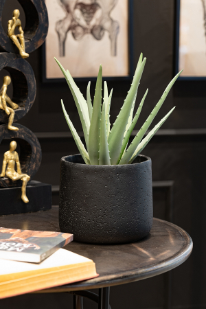 Ghivece si suporturi de flori - Ghiveci, Ceramica, Negru, 19x19x17