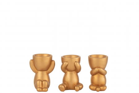 Ghivece si suporturi de flori - Ghiveci Marcel, S Ass3