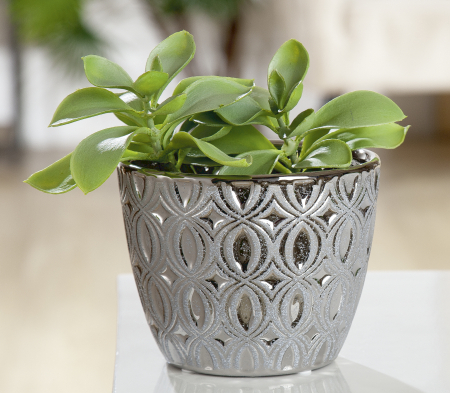 Ghivece si suporturi de flori - Ghiveci Ovado, ceramica, 14x11,5 cm