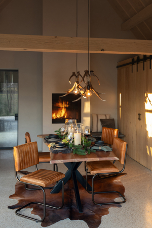 Lustre - Lampa de tavan, coarne de cerb, polirasina, maro, S