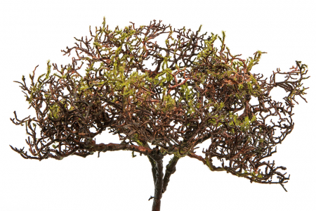 Plante artificiale si uscate - Muschi articial WEIDE, fibre sintetice, 30x25 cm