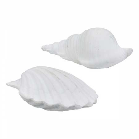 Mare si soare - Obiect de decor, Shell, Vintage, Poly, alb, PU 12, 2 buc. asortate, L. 7 cm, L. 19 cm, H. 6 cm
