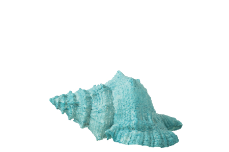 Mare si soare - Obiect decorativ, SEASHELL