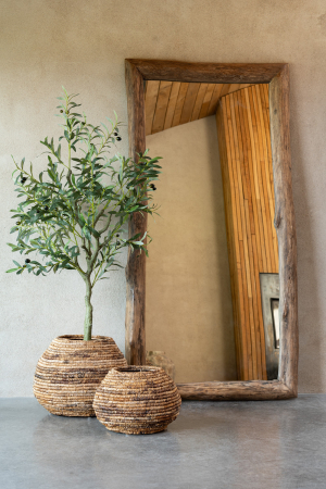 Oglinzi - Oglinda, Lemn, Maro, 180x90x3