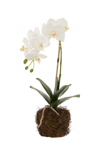 Plante artificiale si uscate - Orhidee artificiala, Textil, Alb, 23x17x40 cm