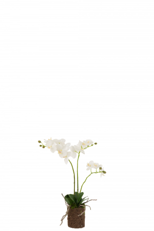 Plante artificiale si uscate - Orhidee artificiala, Textil, Alb, 30x15x52 cm