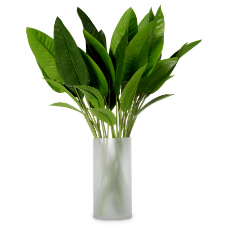 Plante artificiale si uscate - Pachet frunze de Strelitzia 36 buc, Dims: Approximately | Ø 80 (CM)