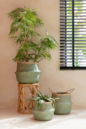 Plante artificiale si uscate - Palmier, Textil, Verde, 70x40x112 cm