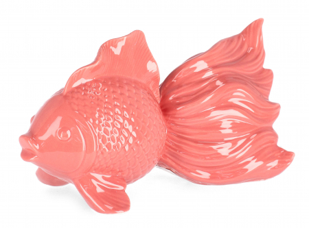 Mare si soare - Peşte, Favignana, Coral L