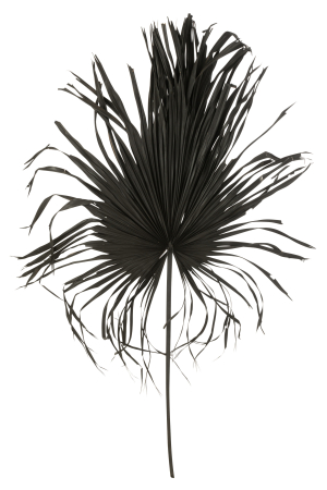 Plante artificiale si uscate - Planta artificiala, PALMTREE LEAF