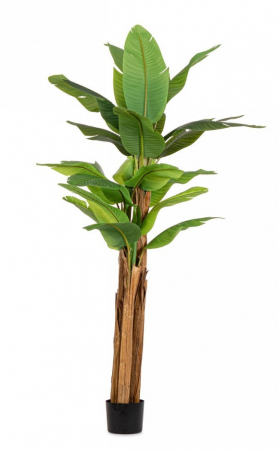 Plante artificiale si uscate - Planta Bananier cu ghiveci 22 Frunze H240