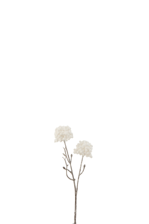 Plante artificiale si uscate - Planta, Material sintetic, Alb, 9x4x25.5