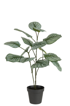 Plante artificiale si uscate - Planta, Material sintetic, Verde, 12.5x12.5x63