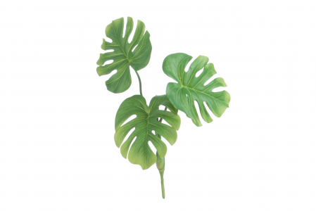 Plante artificiale si uscate - Planta, Material sintetic, Verde, 15x12x28