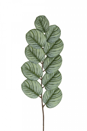 Plante artificiale si uscate - Planta, Material sintetic, Verde, 22x22x0.24