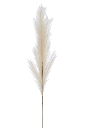 Plante artificiale si uscate - Ramura, Plumeau, Plastic, Bej L