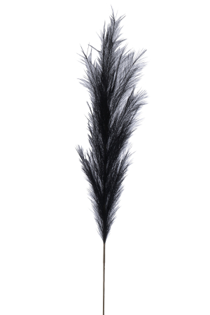 Plante artificiale si uscate - Ramura, Plumeau, Plastic, Negru L