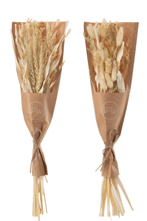 SALE % - Set 2 buc plante uscate, Fibre naturale, Natural, 12x2x42