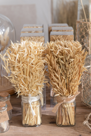 SALE % - Set 2 buc plante uscate, Fibre naturale, Natural, 7.3x7.3x30