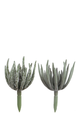 Plante artificiale si uscate - Set 2 plante artificiale, Material sintetic, Verde, 9x9x18