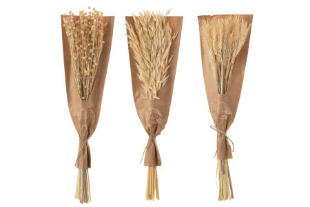 SALE % - Set 3 buchete plante uscate, Fibre naturale, Natural, 12x2x42