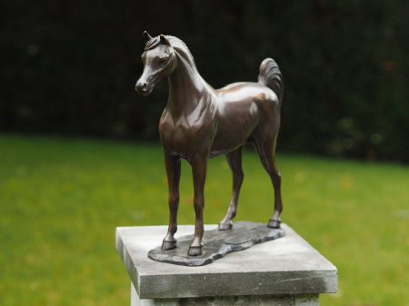 Figurine bronz - Statuie arabian horse, Bronz, 30 x 9 x 33 cm