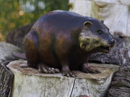 Statui - Statuie bursuc, Bronz, 22 X 25 X 70 cm