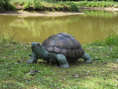 Statui - Statuie broasca testoasa, Bronz, 35 X 55 X 90 cm