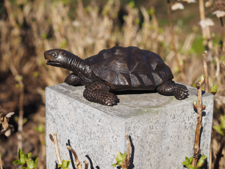 Figurine bronz - Statuie bronz, Broască țestoasă 10 x 19 x 29 cm