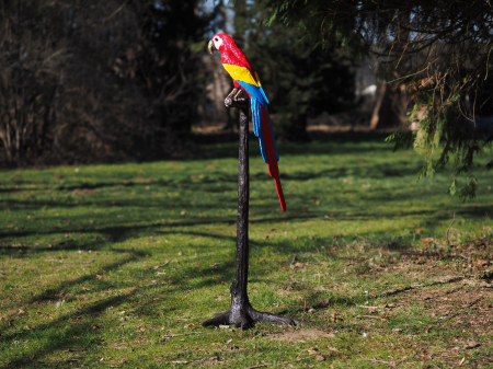 Figurine bronz - Statuie bronz, Papagal în copac (capul sus)