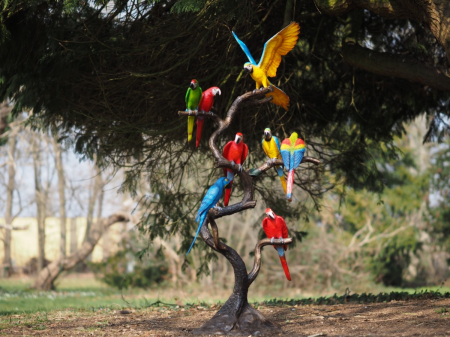 Figurine bronz - Statuie bronz, papagali pe buștean - multicolor 165x45x75 cm