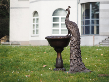 Figurine bronz - Statuie bronz, Păun pe vază