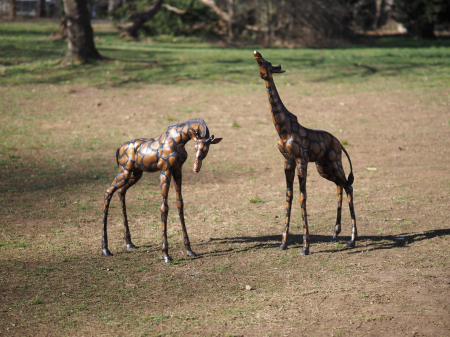 Figurine bronz - Statuie bronz, Pereche de girafe