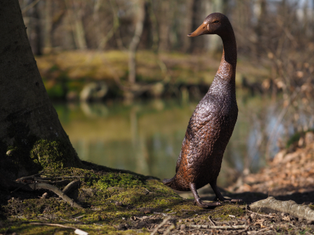 Figurine bronz - Statuie bronz, Rață cu capul în jos