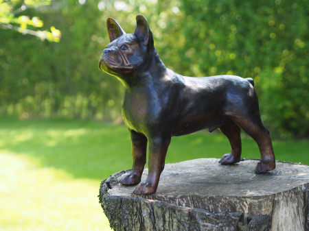 Statui - Statuie bulldog, Bronz, 46 X 20 X 48 cm