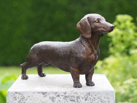 Figurine bronz - Statuie caine dachshund, Bronz, 18 x 8 x 30 cm