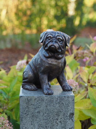 Figurine bronz - Statuie caine pug, Bronz, 29 x 18 x 27 cm