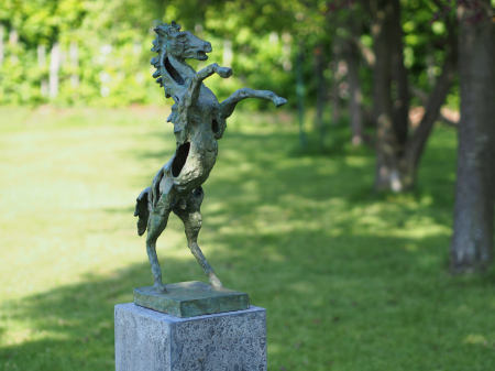 Statui - Statuie cal, Bronz,  65 X 49 X 18 cm