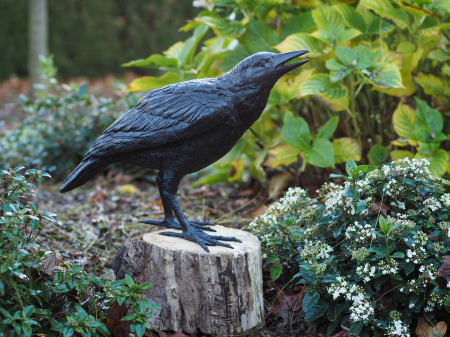 Statui - Statuie cioara feminina, Bronz, 39 X 17 X 51 cm