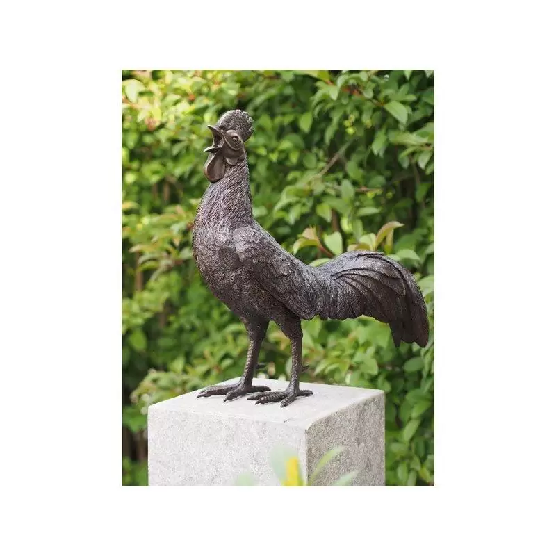 Figurine bronz - Statuie cocos, Bronz, 50 x 25 x 53 cm